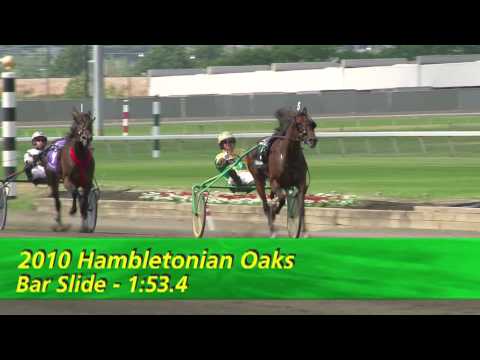 2010  Hambletonian --What you Missed