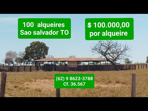 Fazenda de 100 alqueires em São Salvador TO - 10 milhões - 62 9 8623 3788 - Cf 36.567