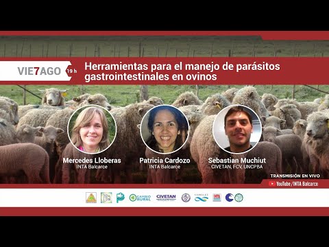 , title : 'Herramientas para el manejo de parásitos gastrointestinales en ovinos'
