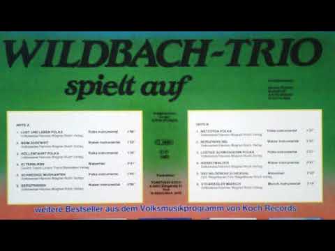 Wildbach Trio - 12 - Stoariegler Marsch