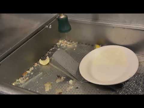 Cockroaches Flourish in Poor Sanitation in Lincroft, NJ