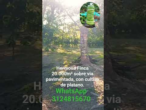 HERMOSA FINCA 20.000M² EN CASTILLA LA NUEVA, META