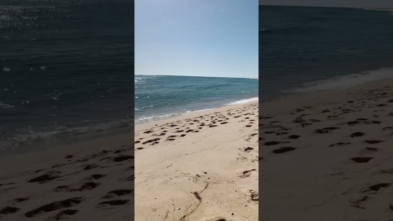 YouTube Short thumbnail