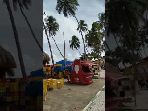 Um passeio por Maragogi