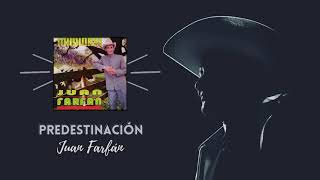 Predestinación Lyrics English Translation
