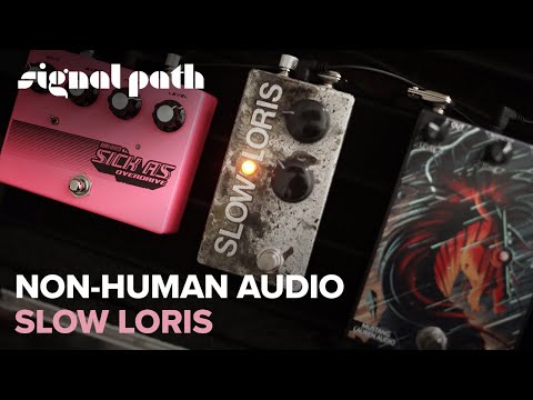 Non-Human Audio Slow Loris (dynamically modulated slapback) image 5