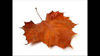 Richard Marx - Falling