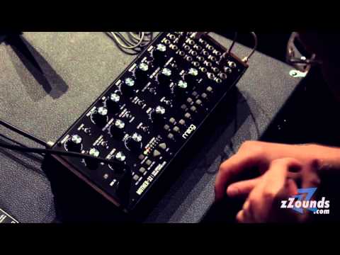 Moog Mother-32 Song Breakdown with Marley Carroll