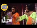 The Blossoms Get Ready On The Ed Sullivan Show