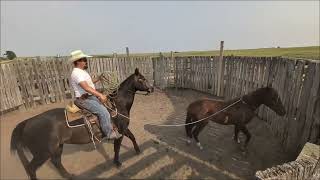 Video 1