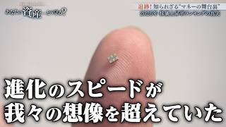 23時間取引で何が変わる！AI・半導体ブームの中での日米株の動向！激動のマーケットを象徴するAIデーターセンター投資！