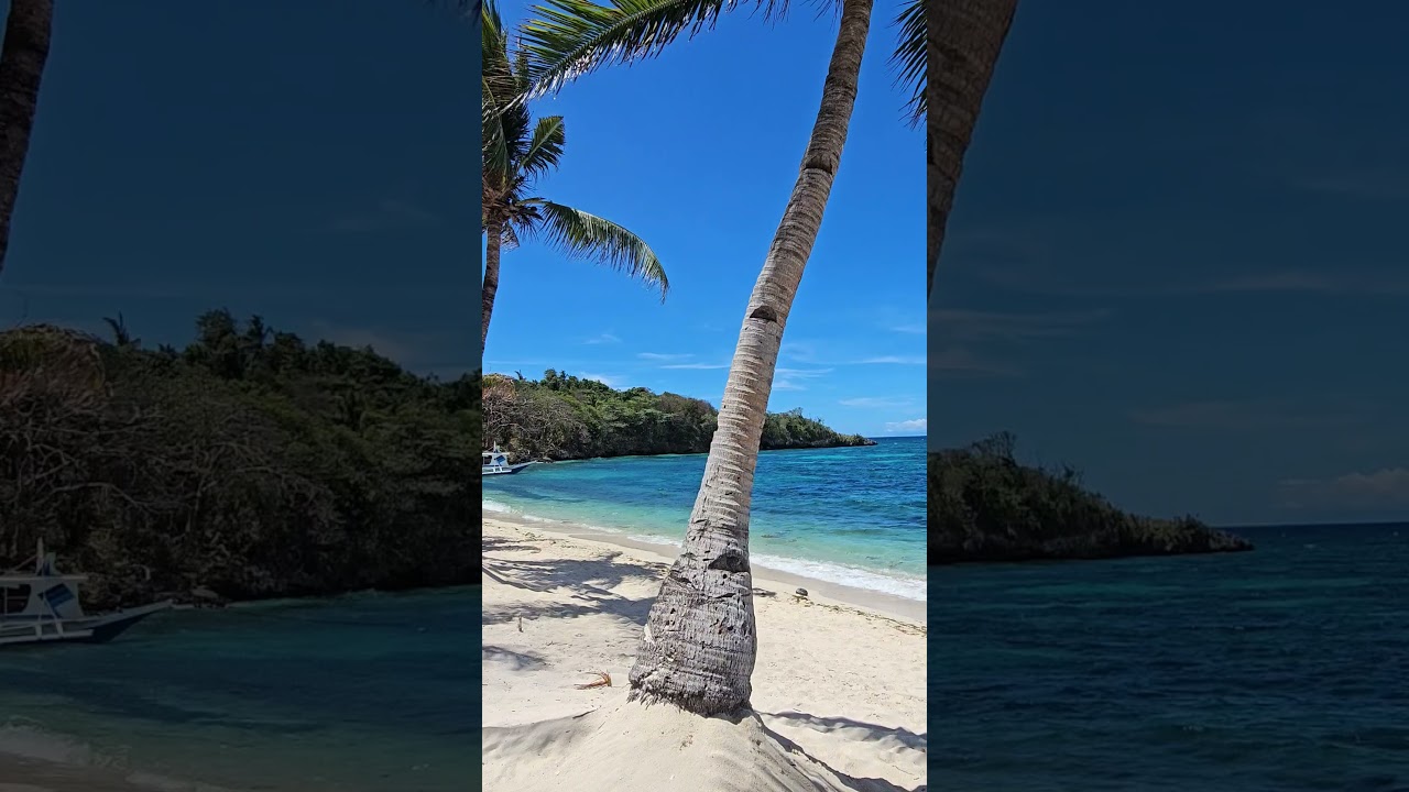 YouTube Short thumbnail