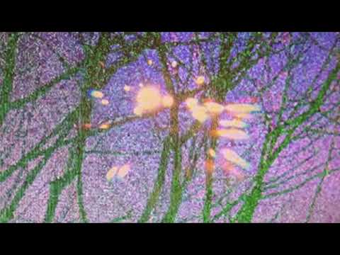 Uno Blank$ x 3May$un - Diamonds So Bright We $hine