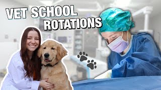 VET SCHOOL ROTATION REVIEW: rating my 4th year rotations 🐾