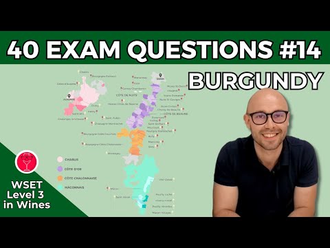 Burgundy: 40 Exam Questions WSET Level 3 in Wines I Video #14