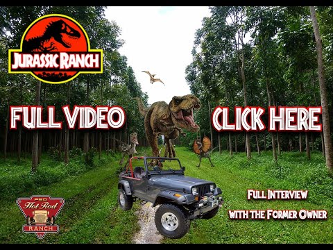 1987 Jeep Wrangler (CC-1599271) for sale in Eustis, Florida