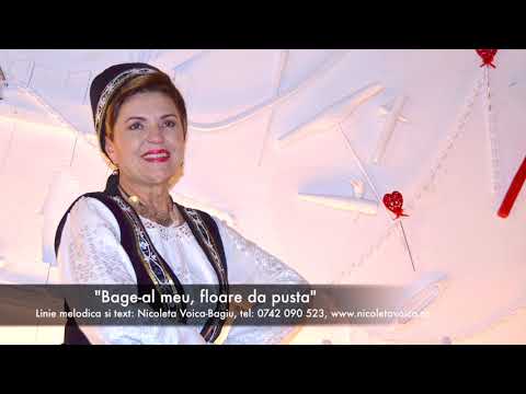 Melodiile mele de tezaur - Nicoleta Voica - Bade-al meu floare de pusta