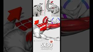 Download lagu Quick and Effective kegel Exercise For Men !! Improve Strength Stamina! #physiocare #stamina #fyp mp3 Download lagu Quick and Effective kegel Exercise For Men !! Improve Strength Stamina! #physiocare #stamina #fyp mp3