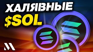 Metaplex – получаем $SOL нахаляву?! Бесплатные $ для Solana флиперов!