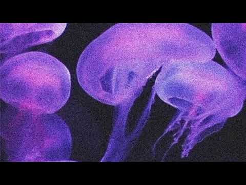 Travis Scott x Lil Baby x Offset Type Beat - Tropic