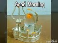 Naval Meena