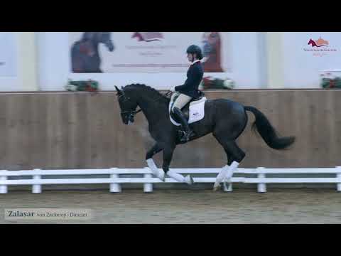 Zalasar v. Zackerey x Dancier