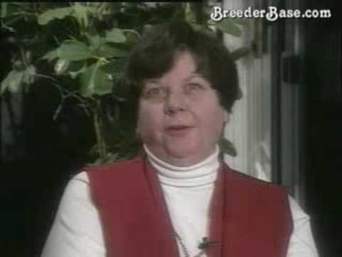 Whelping DVD: "Special Delivery"