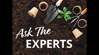 Ask the Experts ENGLISH GARDENS