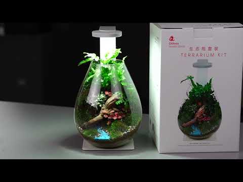 CHIHIROS Terrarium Kit: Magnetic light + Base + Glass Bottle 27x21,6cm (358-005) - Zestaw: akwarium, lampka magnetyczna, podstawka