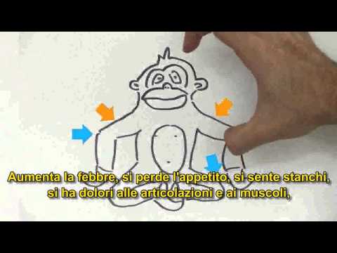Clinica di sindrome di alcolizzato di astinenza di trattamento Lalcolismo femminile e maschile, quello che è più cattivo