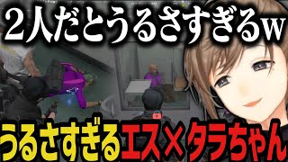 【まとめ】エス×タラちゃんの組み合わせがうるさすぎるｗｗｗ【叶/にじさんじ切り抜き/ストグラ切り抜き】