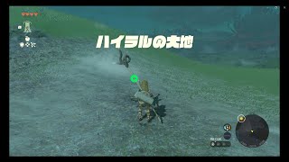 The Legend of Zelda: Tears of the Kingdom ：ゼルダの伝説　ティアーズ オブ ザ キングダム　Playing movie ⑫完