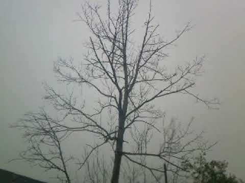 thunderstorm hits hinsdale ma part3