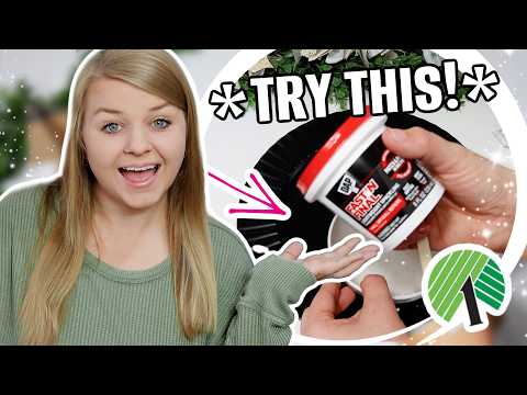 Try These Dollar Tree DIYs Before Everyone Else in 2026