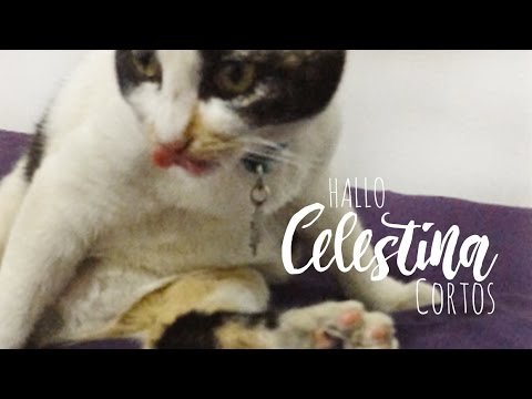 Hallo Celestina Cortos: Dándome un baño!