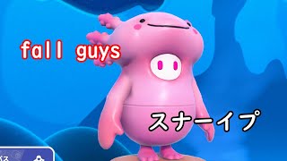ちょっとだけフォールガイズ