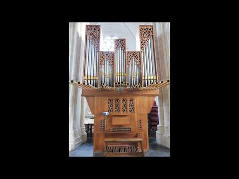 Wim Bomhof - HW-orgel van Freiberg -   Wer nur den lieben Gott lässt walten van G.A.Homilius