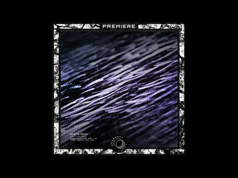 PREMIERE: Martyn Päsch - Deep Distance (Basis Change Remix) [AARD024]