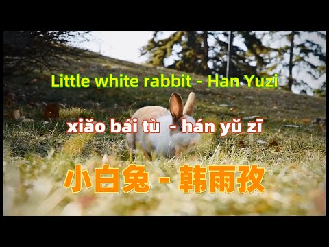 小白兔 - 韩雨孜.xiao bai tu.Little white rabbit - Han Yuzi.Chinese songs lyrics with Pinyin.