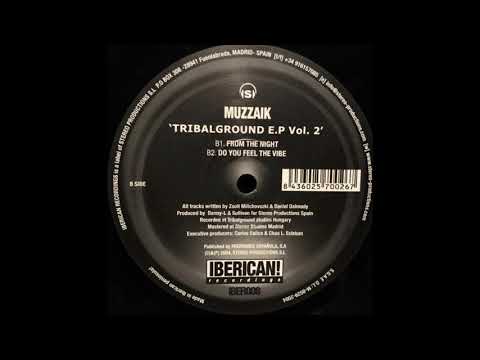Muzzaik ‎– From The Night [HD]