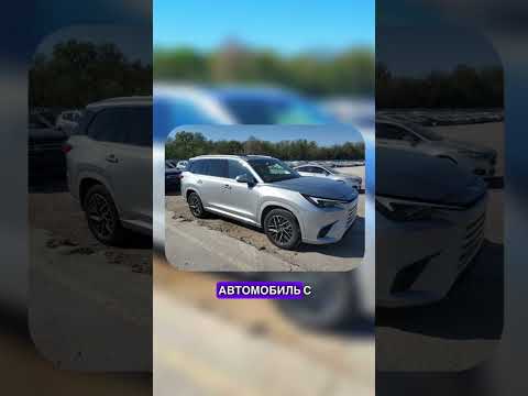 LEXUS TX 350 2024