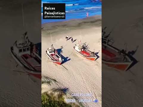 🐚 Cabo Polonio, Rocha: El paraíso salvaje de Uruguay #turismo #nature  #uruguay #viajes #wildlife