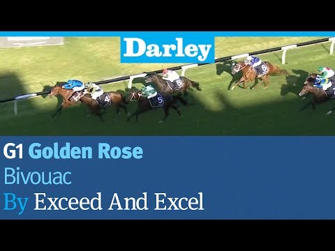Bivouac by Exceed And Excel wins the G1 Golden Rose Stakes at Rosehill
