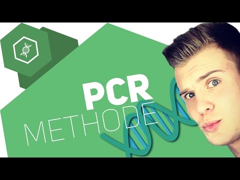 The PCR method simply explained