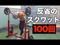 【自粛動画について】反省とスクワット100回 【筋トレ】【自宅で脚トレ】