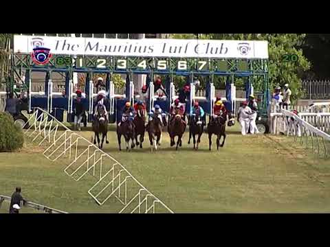 RM8 R3 | All Aboard | J.Allyhosain