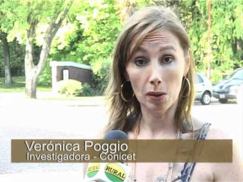 Lunes 05 de Diciembre de 2011