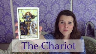 7 The Chariot Tarot Card Meaning Upright &amp; Reversed (Meaning of the Major Arcana Cards)