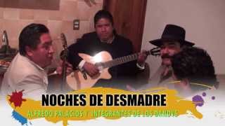 preview picture of video 'NOCHE DE DESMADRE... EN  LA UNION  MEXICO'