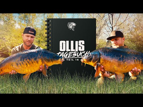 Die Karpfen vom "JURASSIC LAKE" - Angeln am Waldsee 🌲